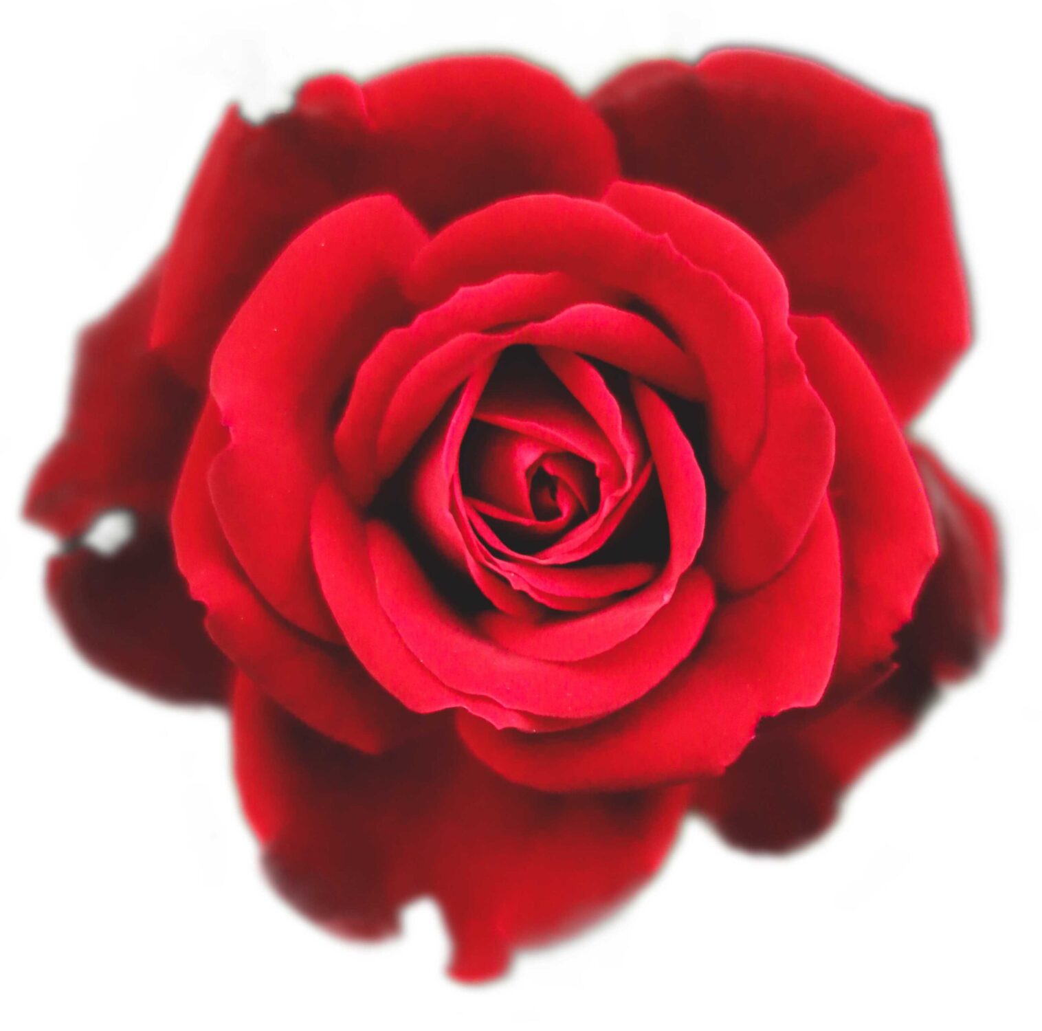 Devotional Tantra Massage