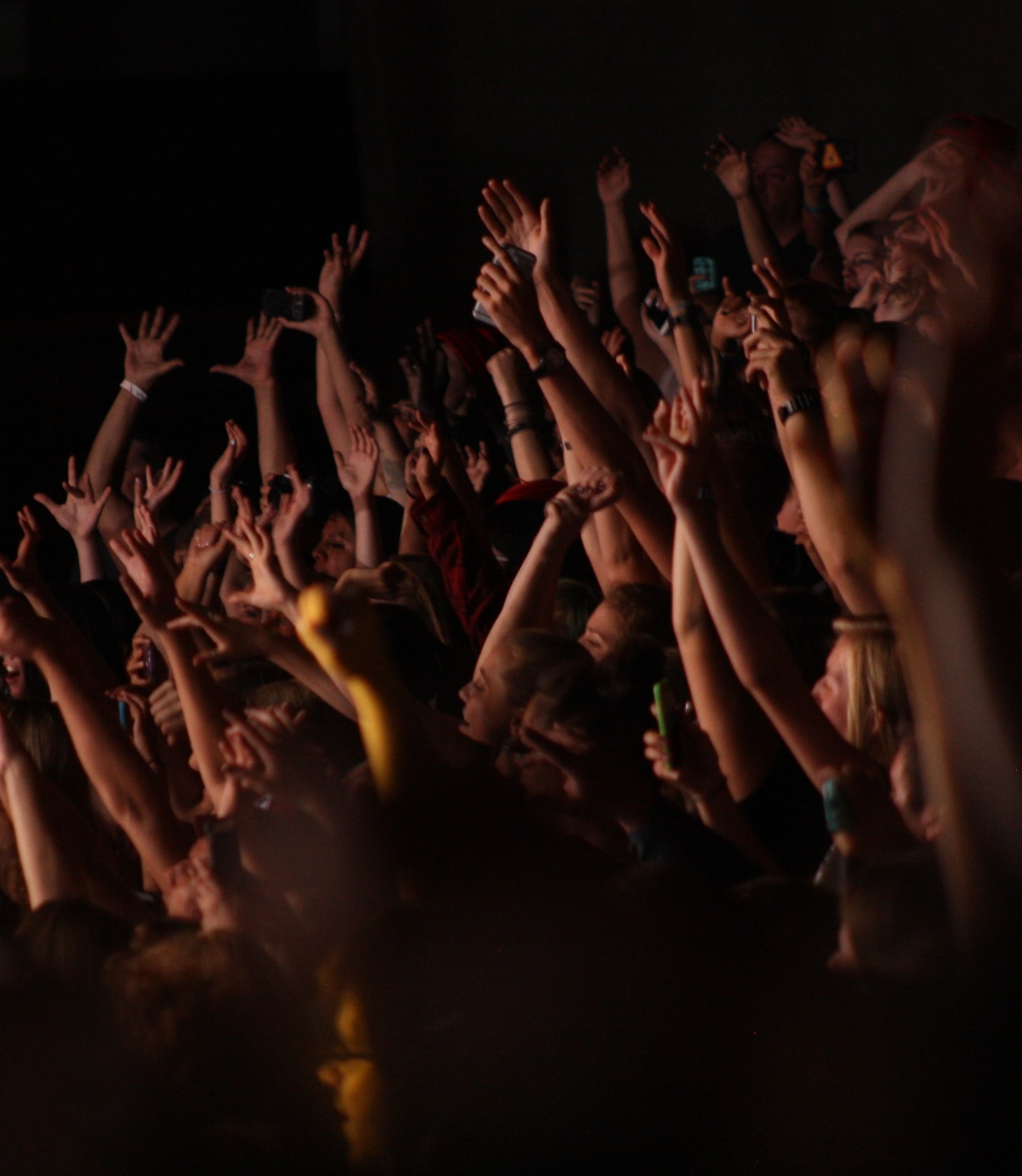Hands Up Crowd